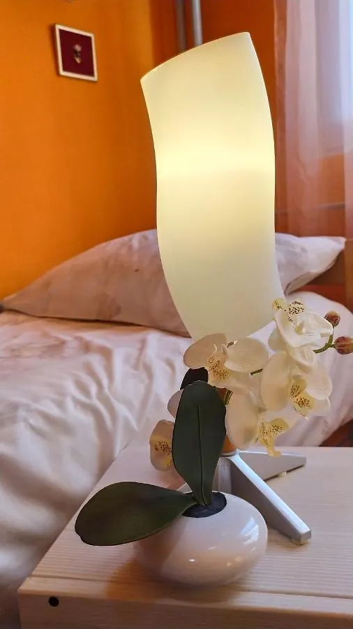 Dreamcatcher Close To Everything- Pet Friendly Beach Nearby 리예카 아파트